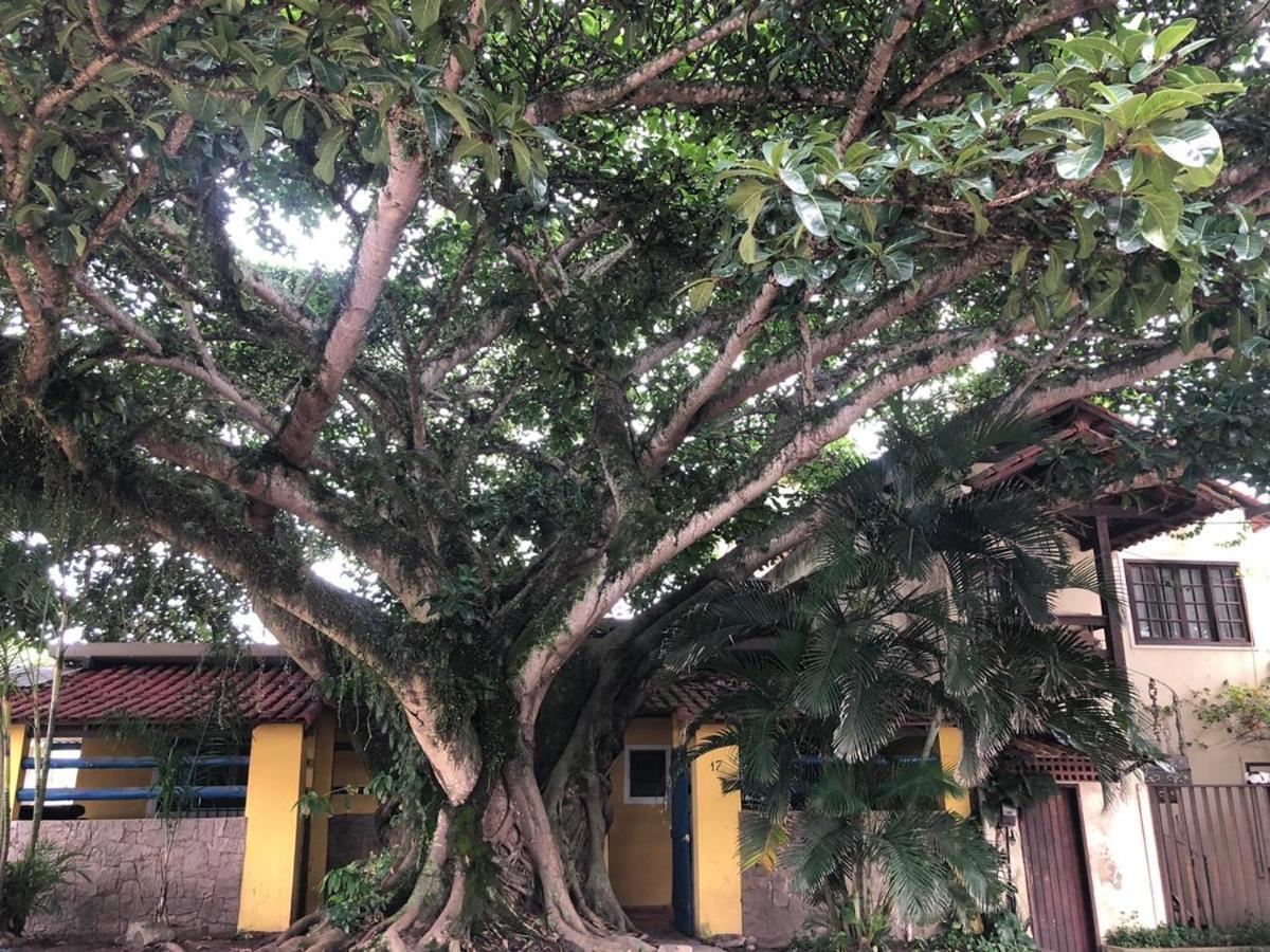 Hostel Surf Rio Rio de Janeiro